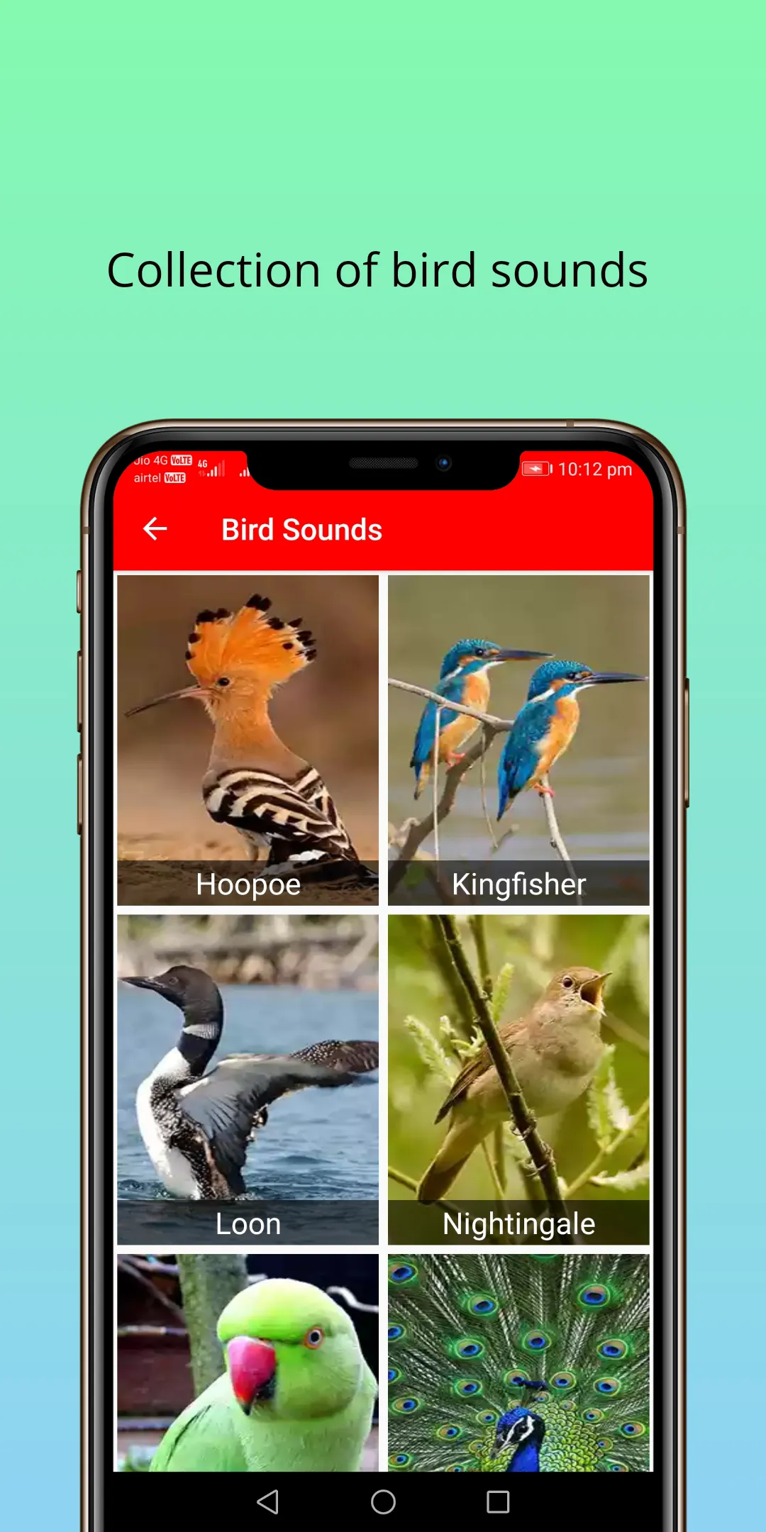 150 Animal Sounds | Indus Appstore | Screenshot