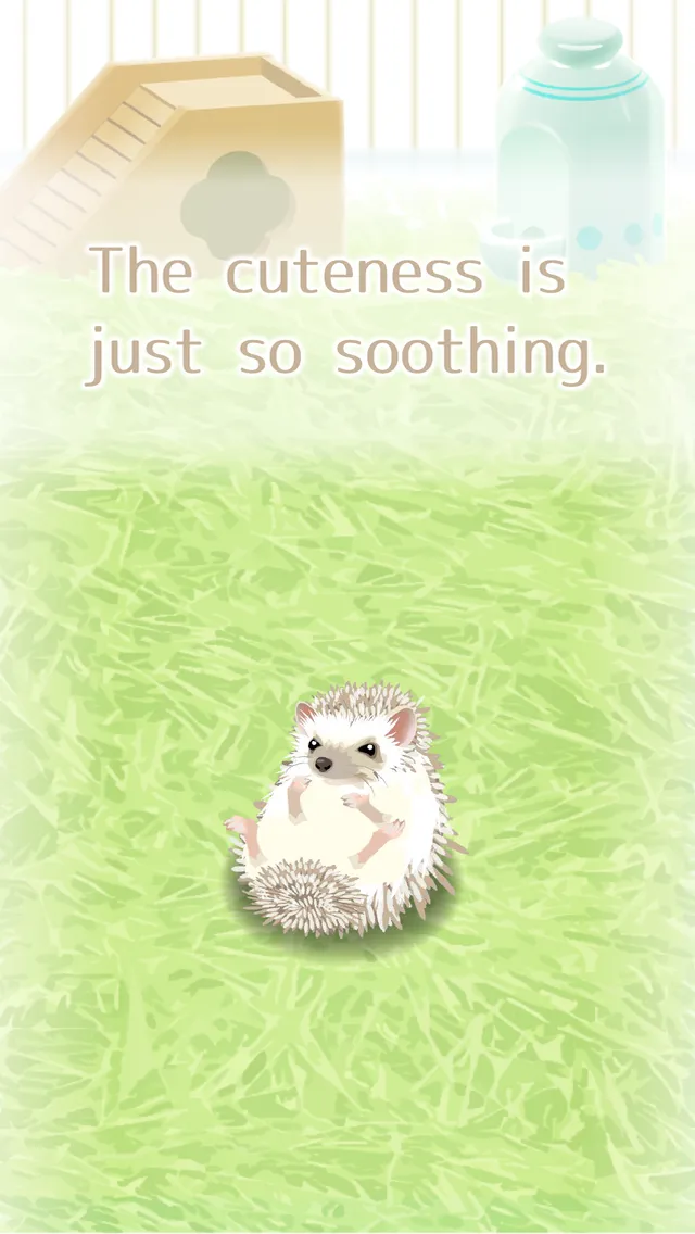 Hedgehog Pet | Indus Appstore | Screenshot