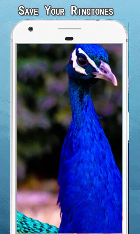 Peacock Sounds Ringtone | Indus Appstore | Screenshot