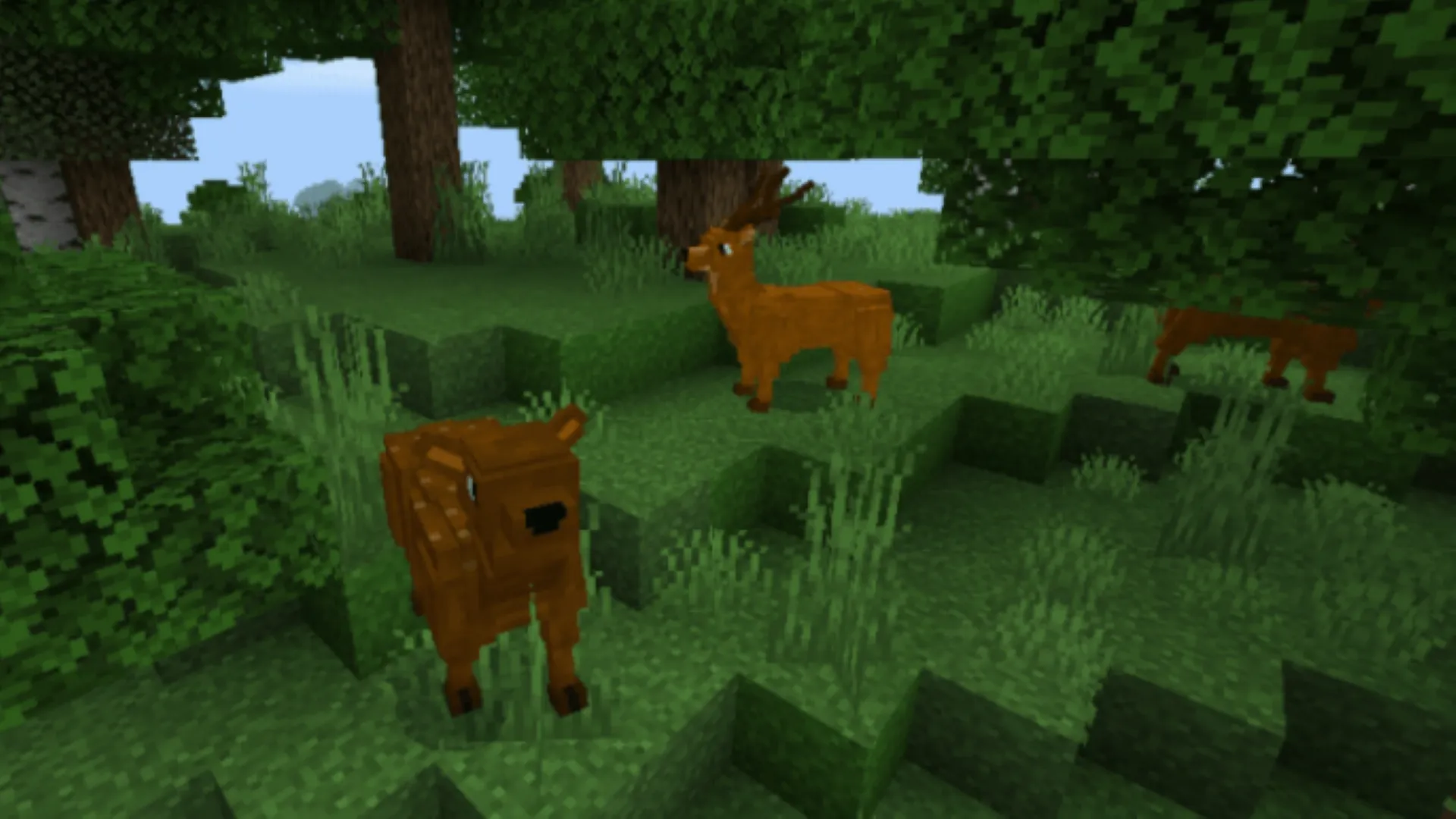 yCreatures Addon for MCPE | Indus Appstore | Screenshot