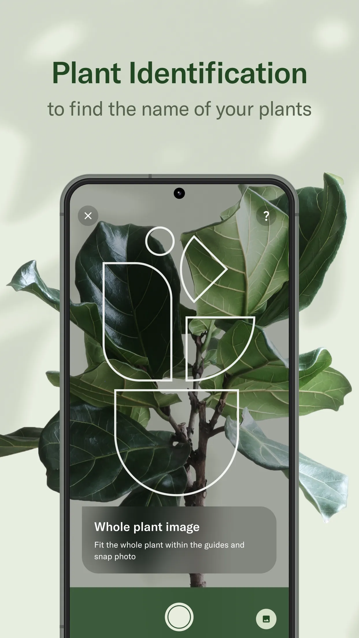 Planta - Care for your plants | Indus Appstore | Screenshot