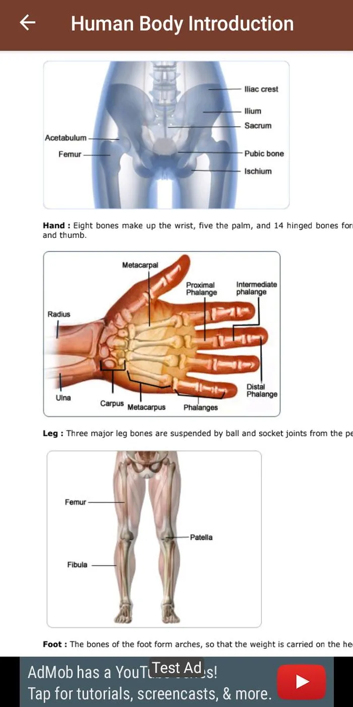 Anatomy & Physiology | Indus Appstore | Screenshot