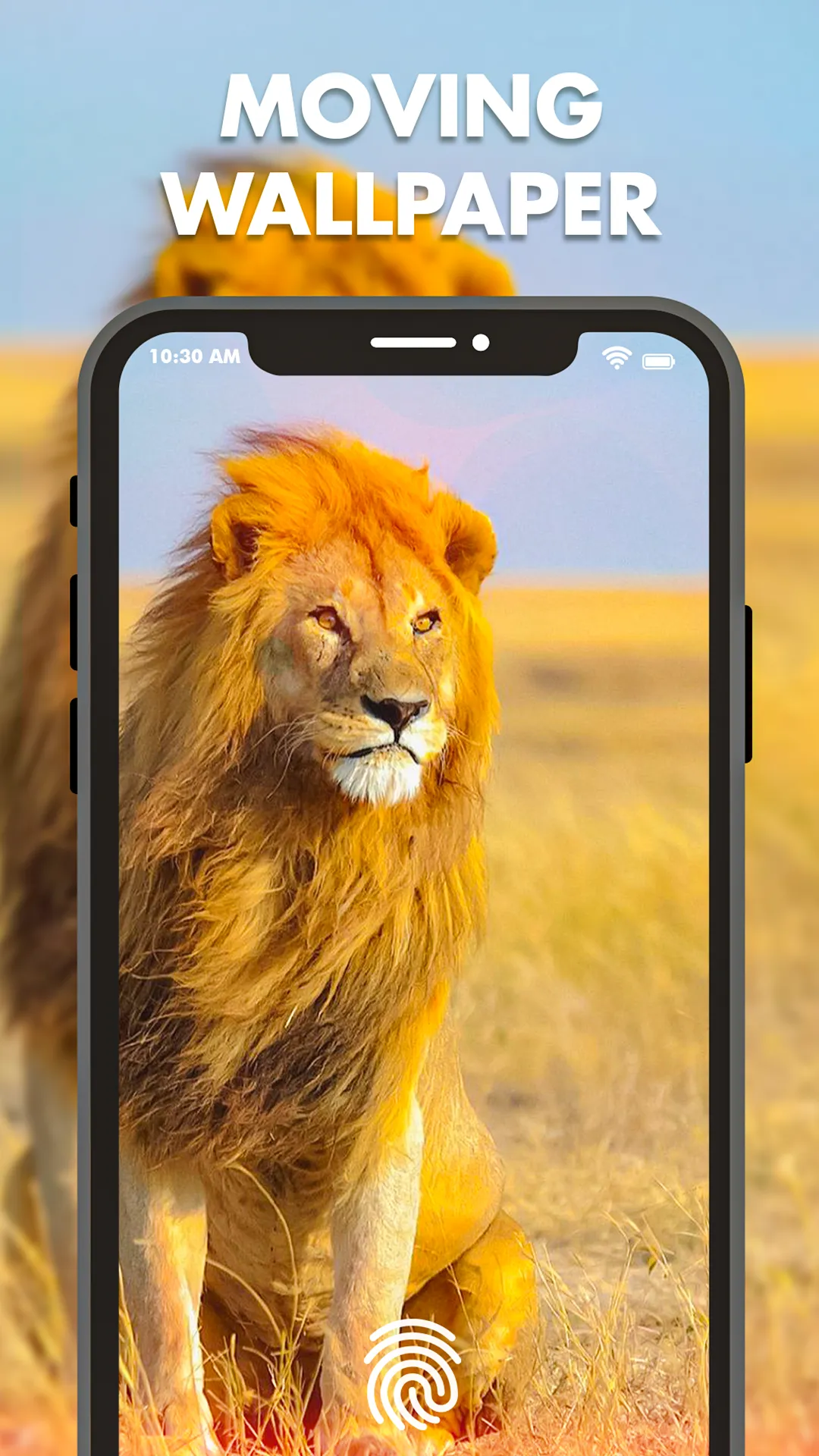 Video Live Wallpaper 4k | Indus Appstore | Screenshot