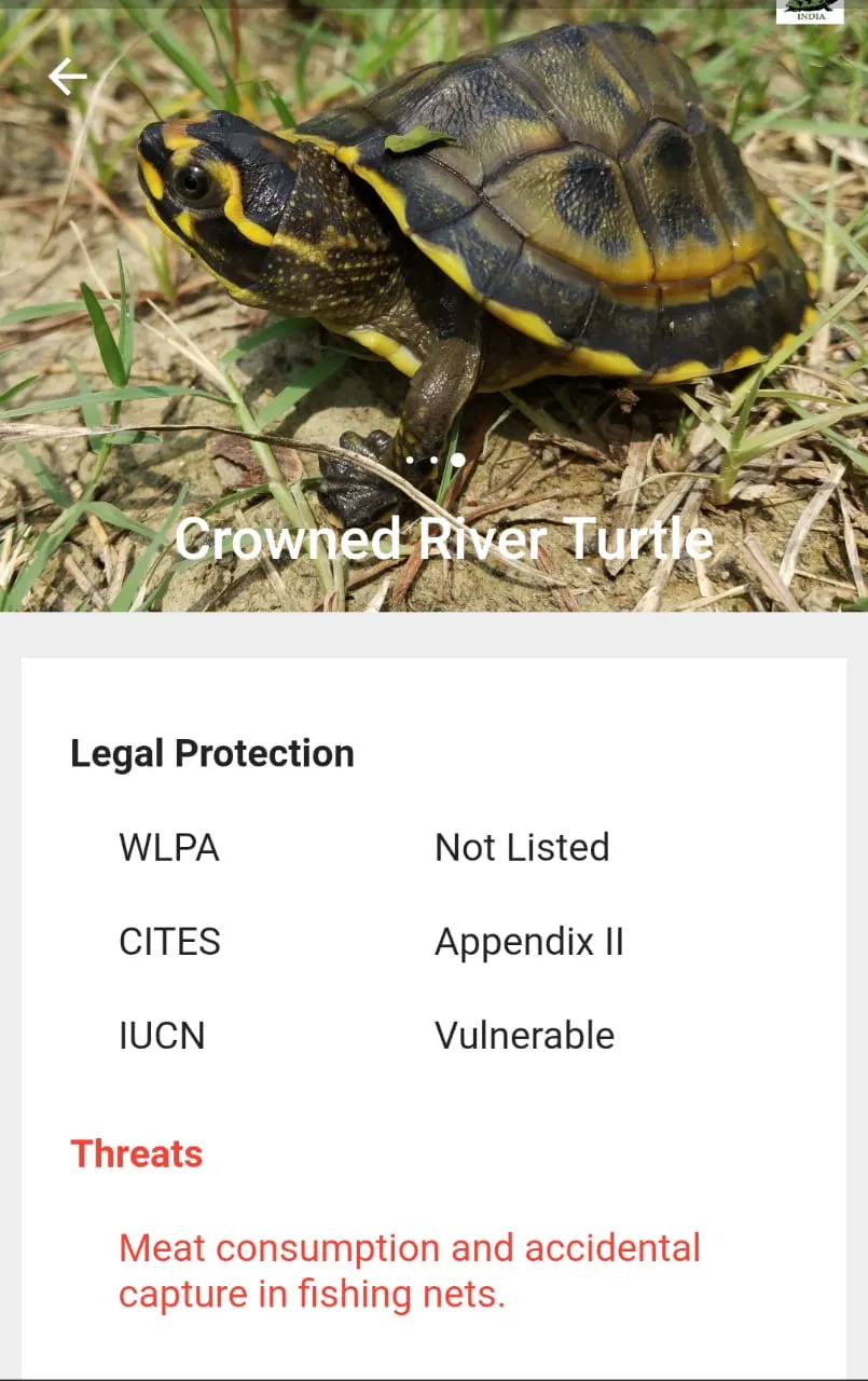 KURMA: Tracking Indian Turtles | Indus Appstore | Screenshot