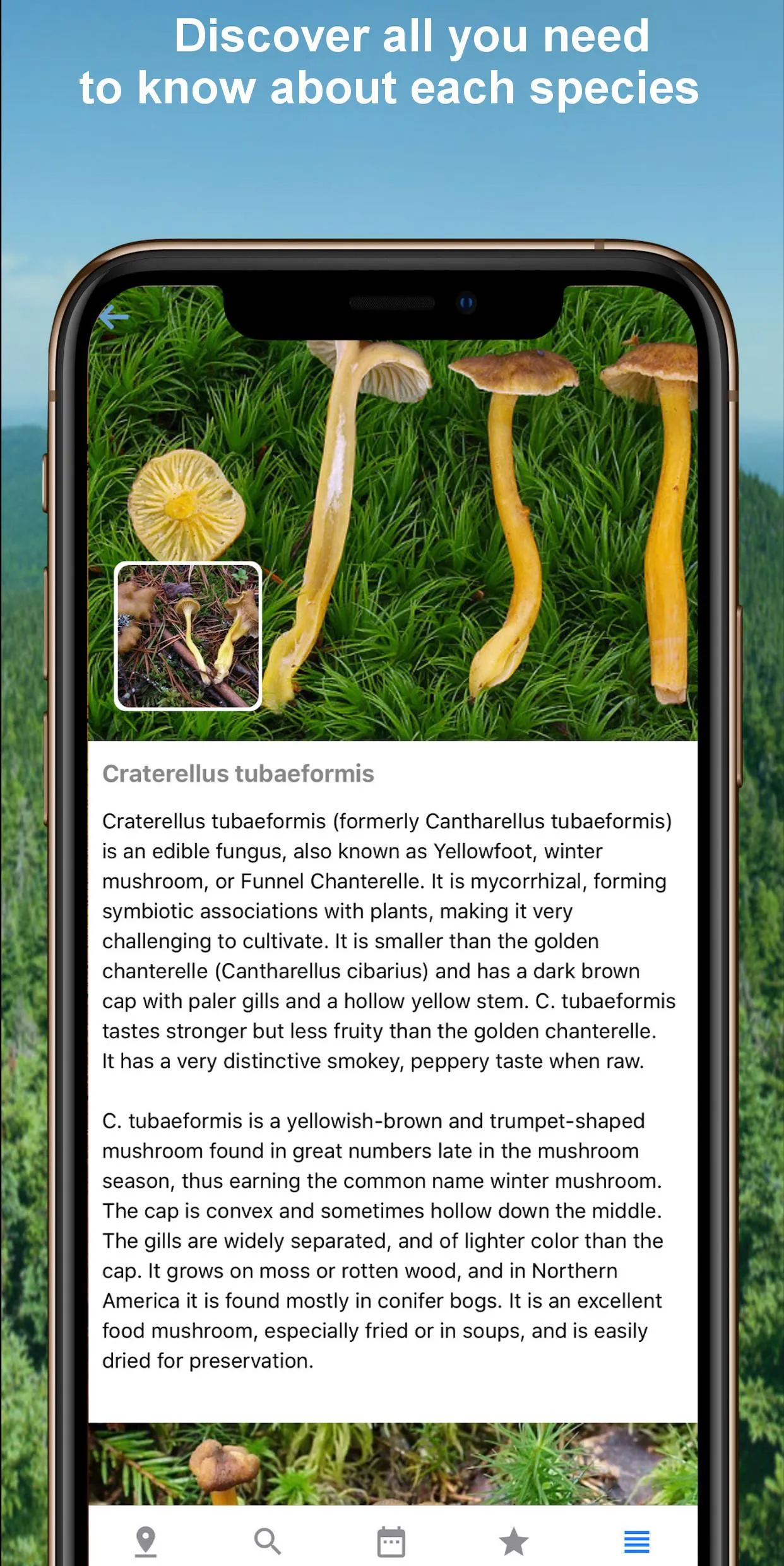 Mushroom Identify - Automatic  | Indus Appstore | Screenshot