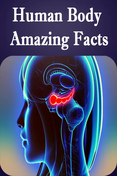 Humans body amazing facts | Indus Appstore | Screenshot