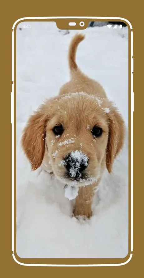 Cute Puppy Wallpapers | Indus Appstore | Screenshot