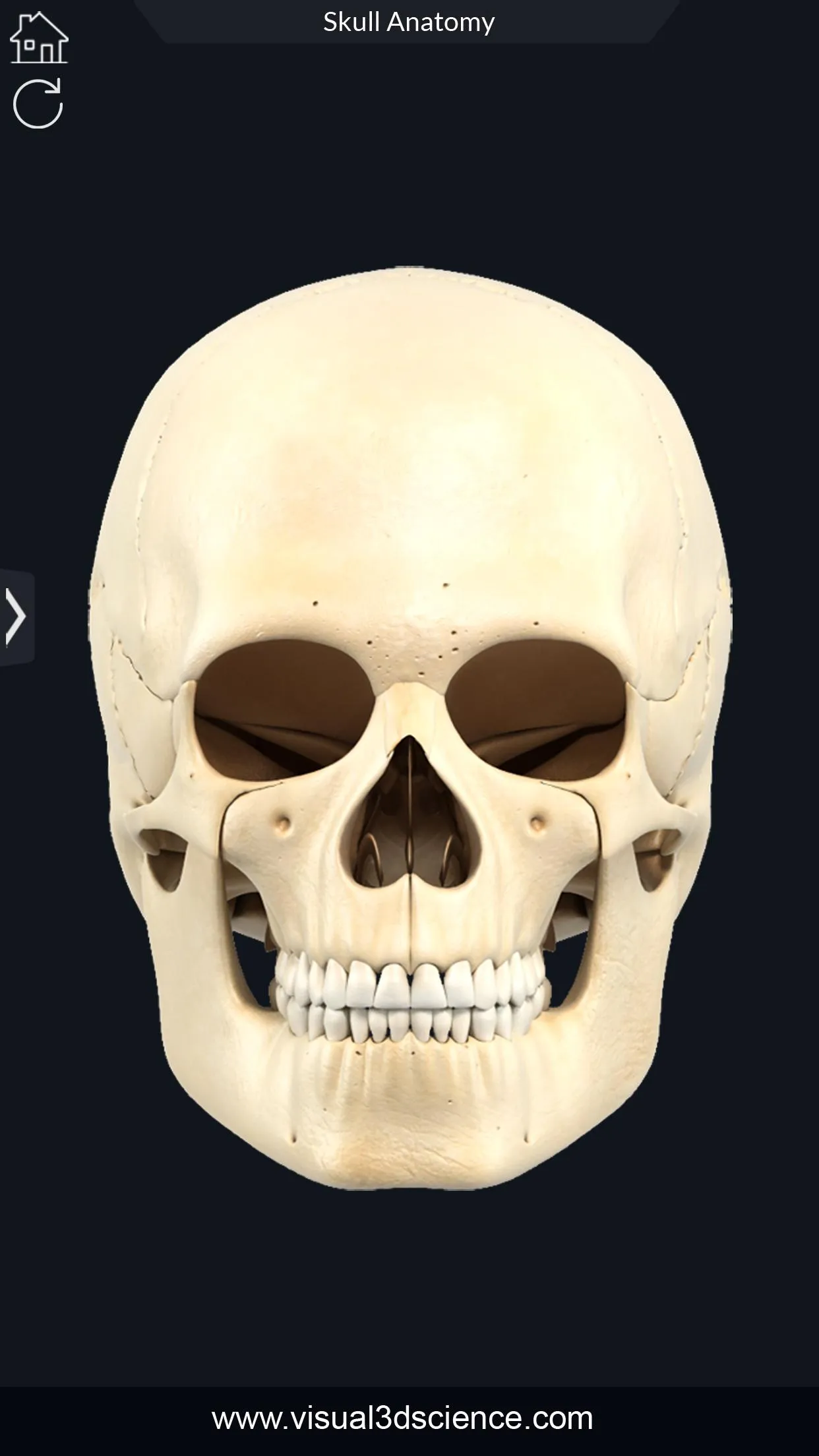 Skull Anatomy Pro. | Indus Appstore | Screenshot