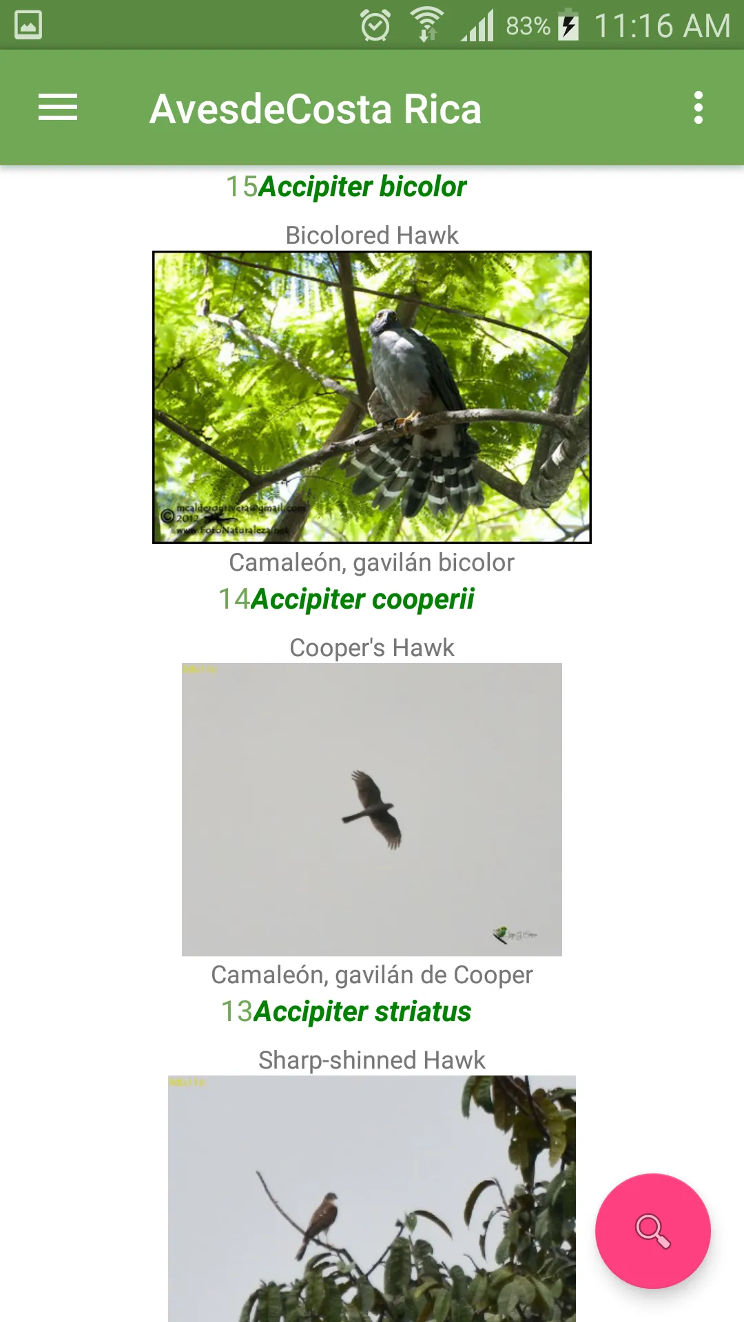 Aves de Costa Rica | Indus Appstore | Screenshot