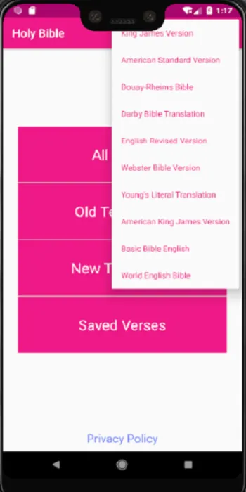 Offline Audio Bible (Ten Versi | Indus Appstore | Screenshot