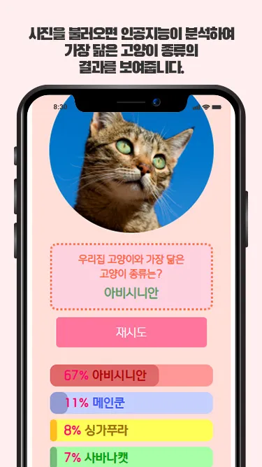 고양이 종류 | Indus Appstore | Screenshot