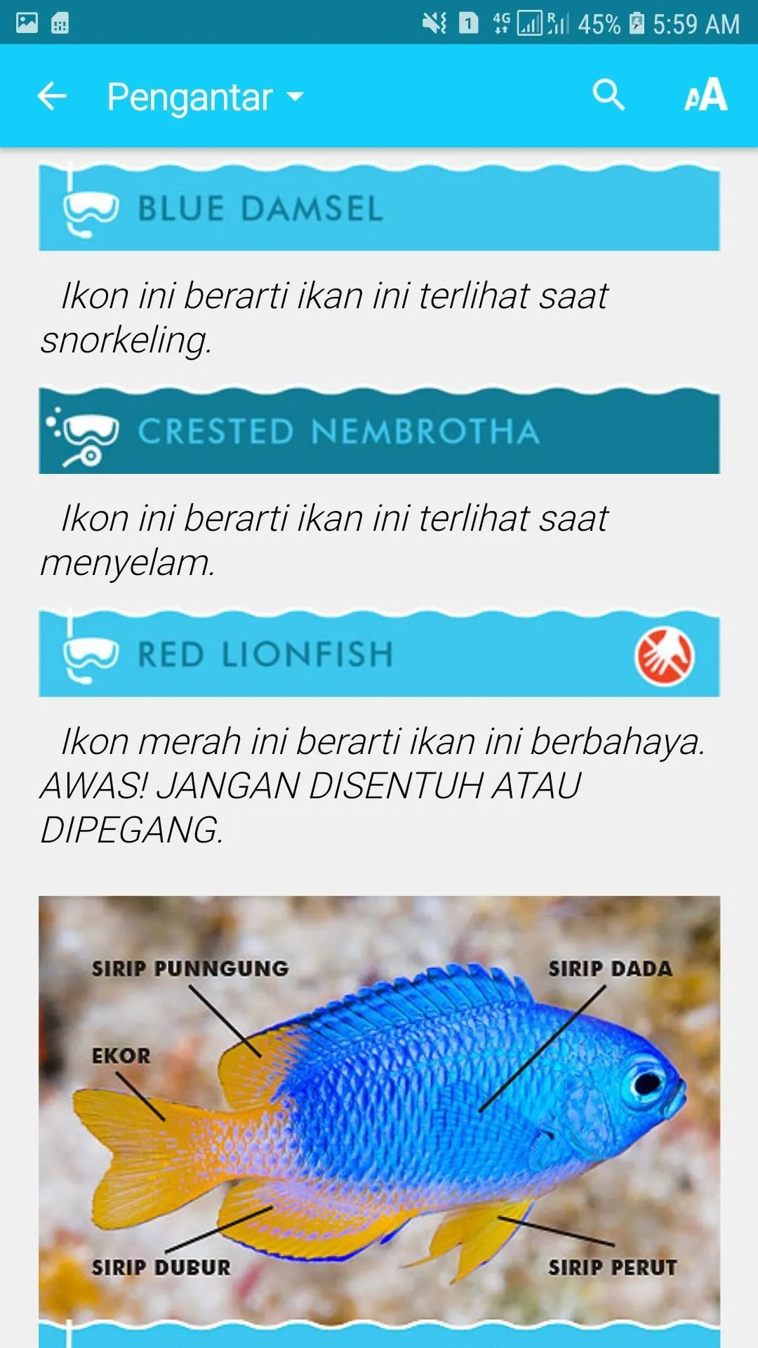 Biota Laut Luwuk-Banggai | Indus Appstore | Screenshot