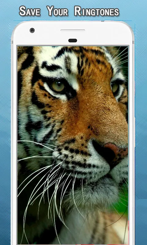 Tiger Sounds Ringtone | Indus Appstore | Screenshot