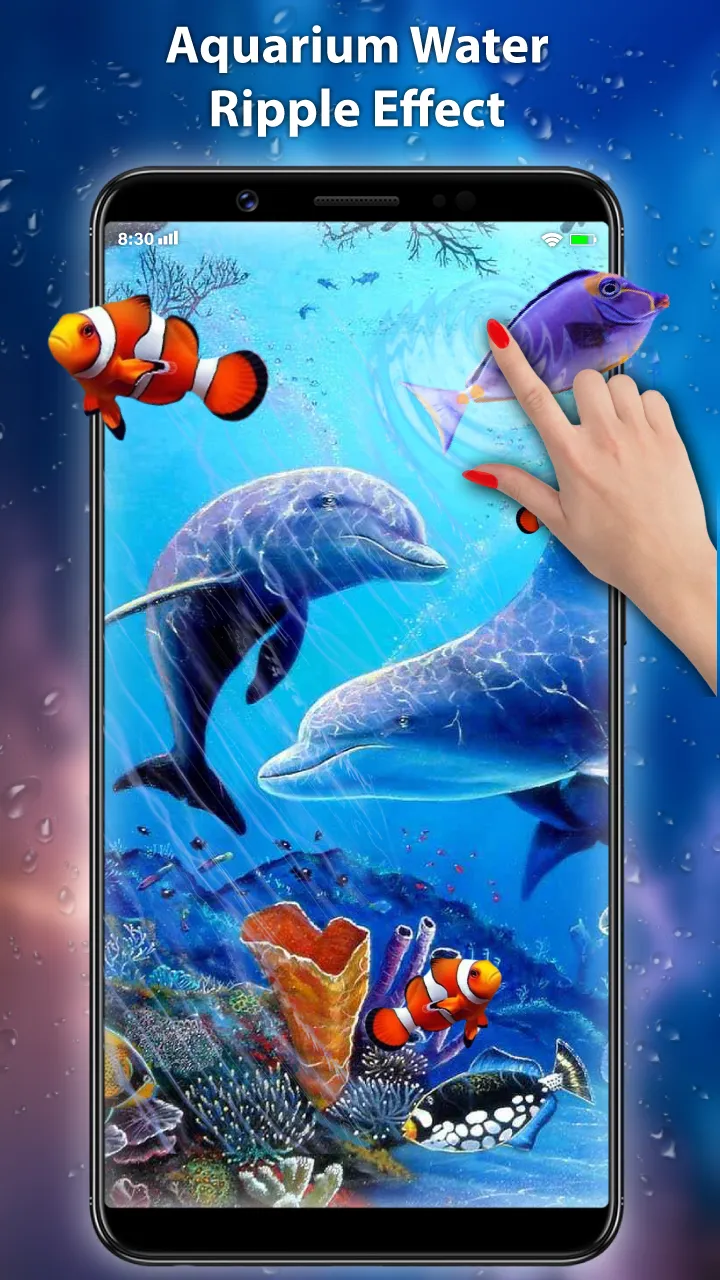 Koi Fish Live Wallpaper 3D | Indus Appstore | Screenshot