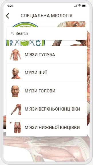 Human Anatomy. Myology | Indus Appstore | Screenshot