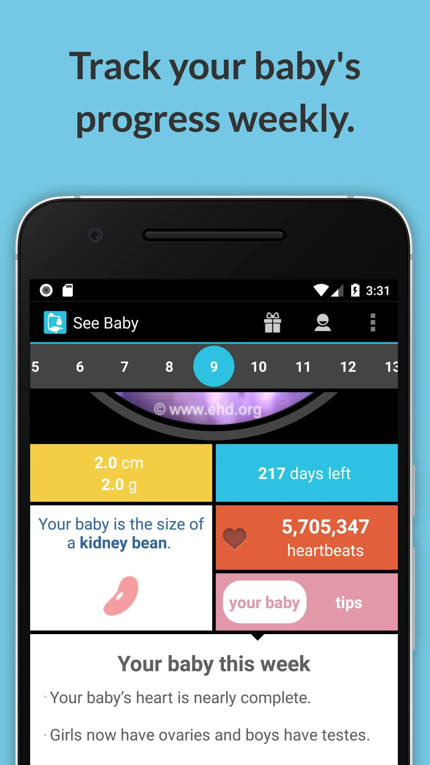 See Baby Pregnancy Guide | Indus Appstore | Screenshot