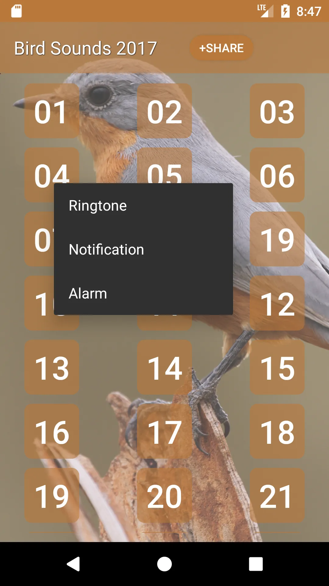 Bird Sounds and Ringtones | Indus Appstore | Screenshot