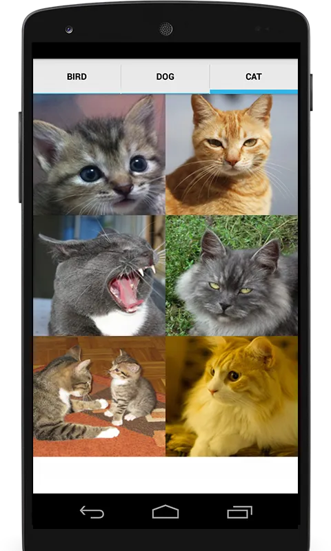 Animal Sounds (Bird,Dog,Cat) | Indus Appstore | Screenshot