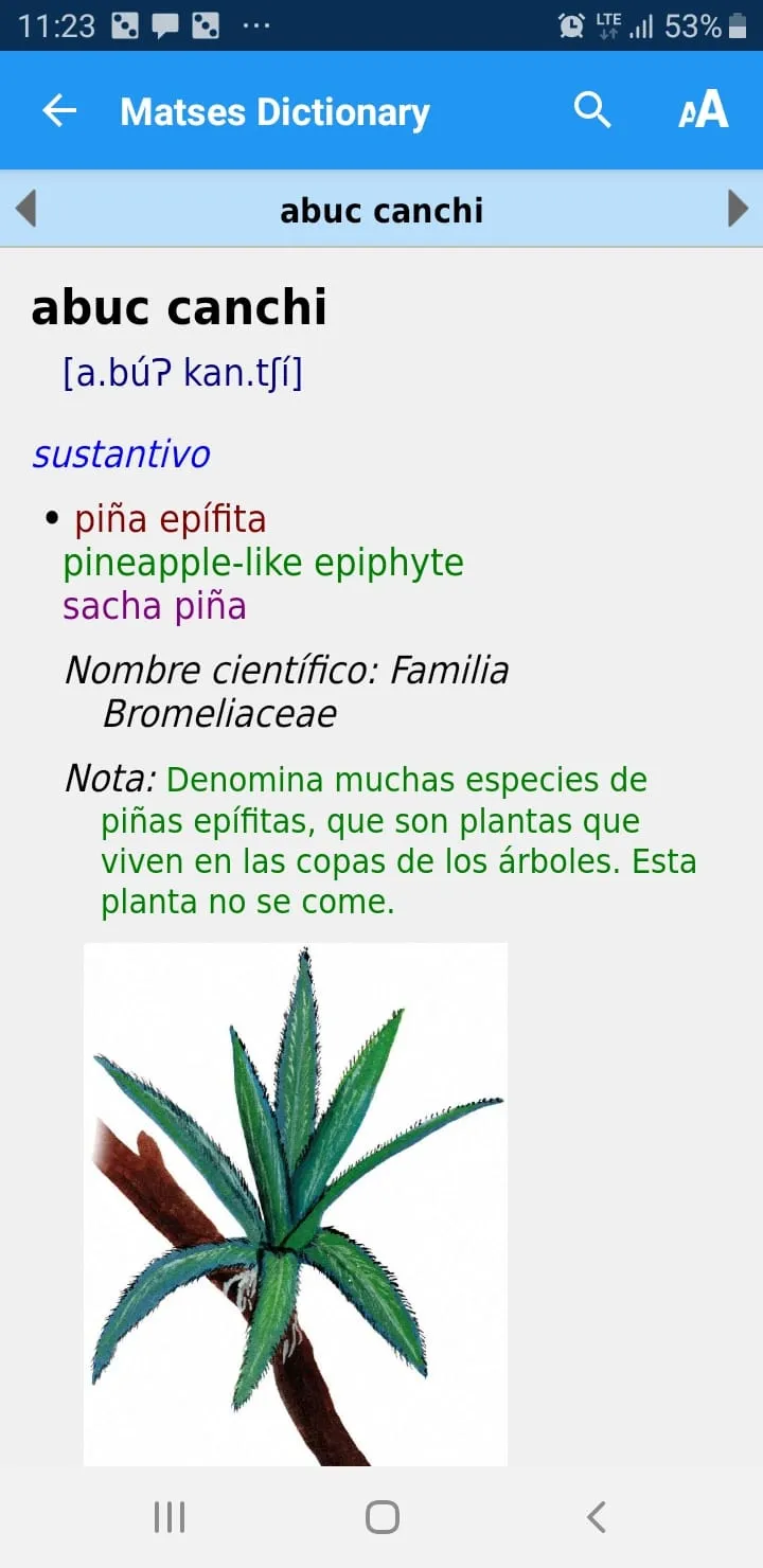 Diccionario Matses | Indus Appstore | Screenshot