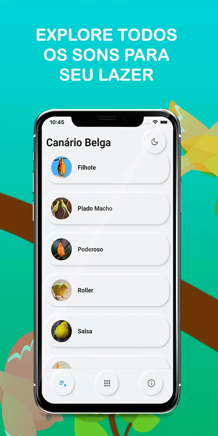 Canary Bird Belgian Corners | Indus Appstore | Screenshot