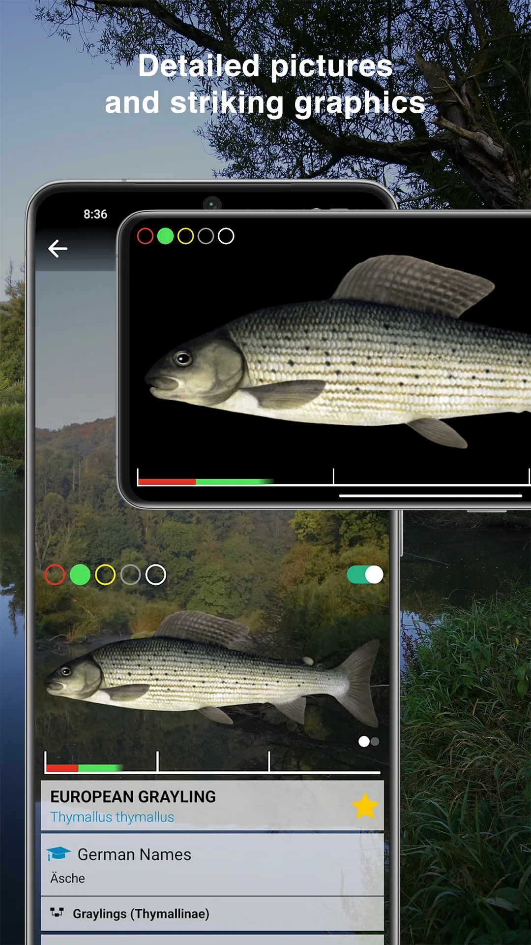 Fishguide Baden-Wurttemberg | Indus Appstore | Screenshot