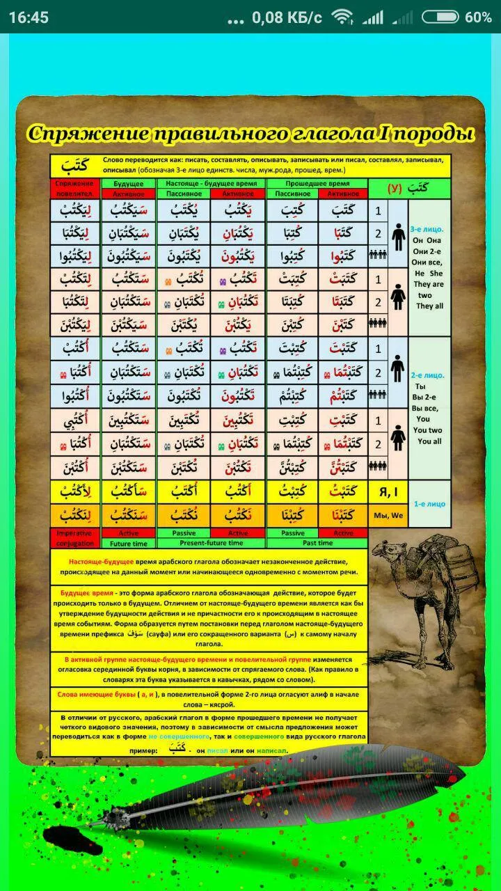 Arabic verbs - tests. Lite | Indus Appstore | Screenshot