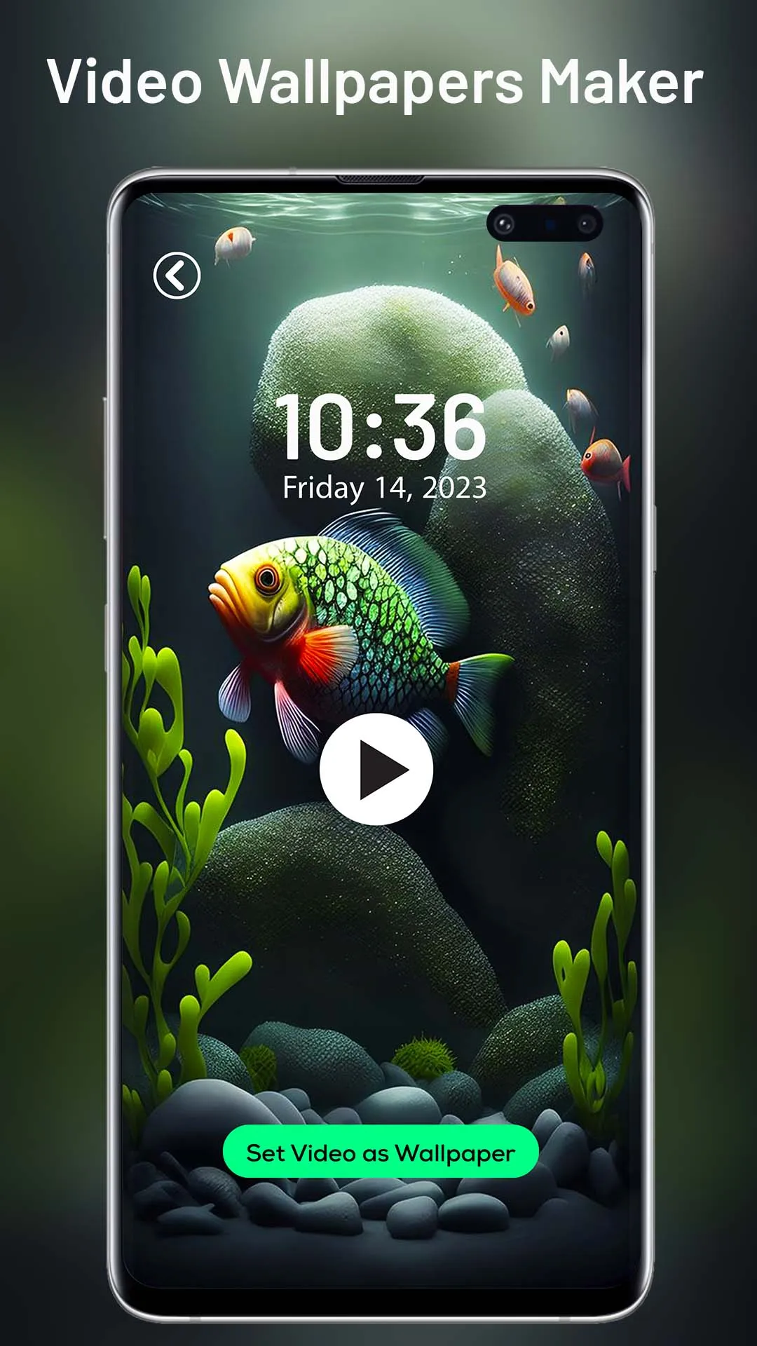 Video Live Wallpaper Maker 4k | Indus Appstore | Screenshot