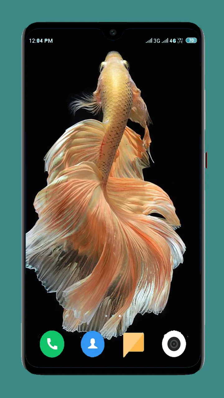 Betta Fish Wallpapers 4K | Indus Appstore | Screenshot