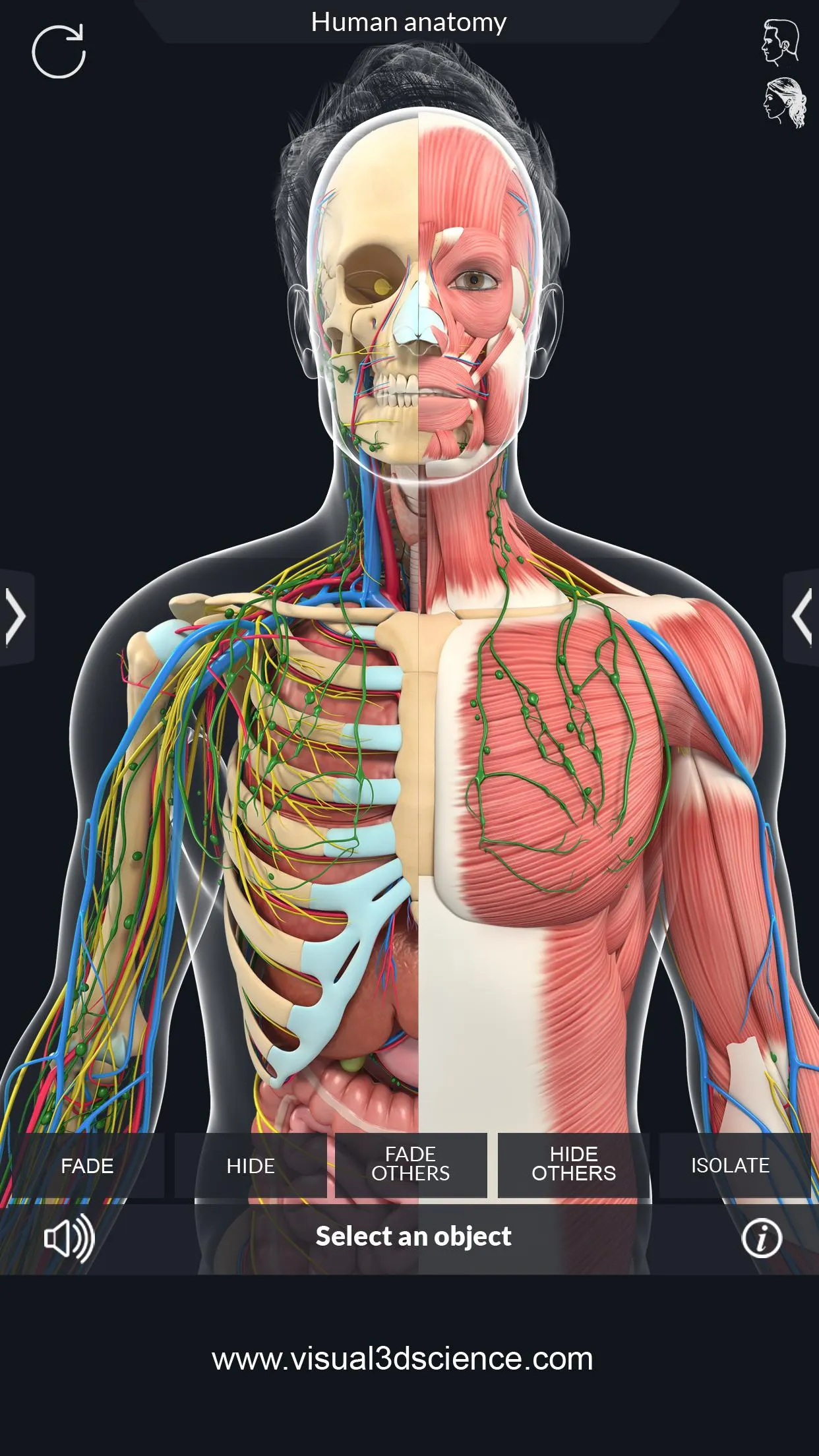 Human Anatomy | Indus Appstore | Screenshot