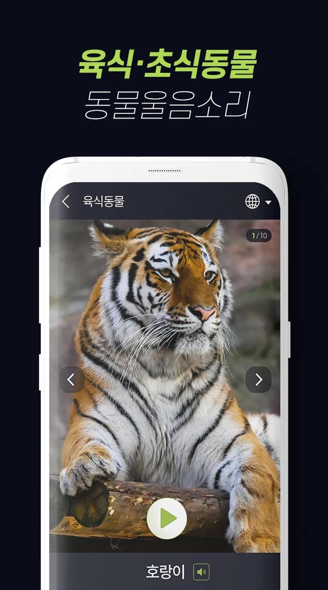 Animalsounds–sounds and photos | Indus Appstore | Screenshot