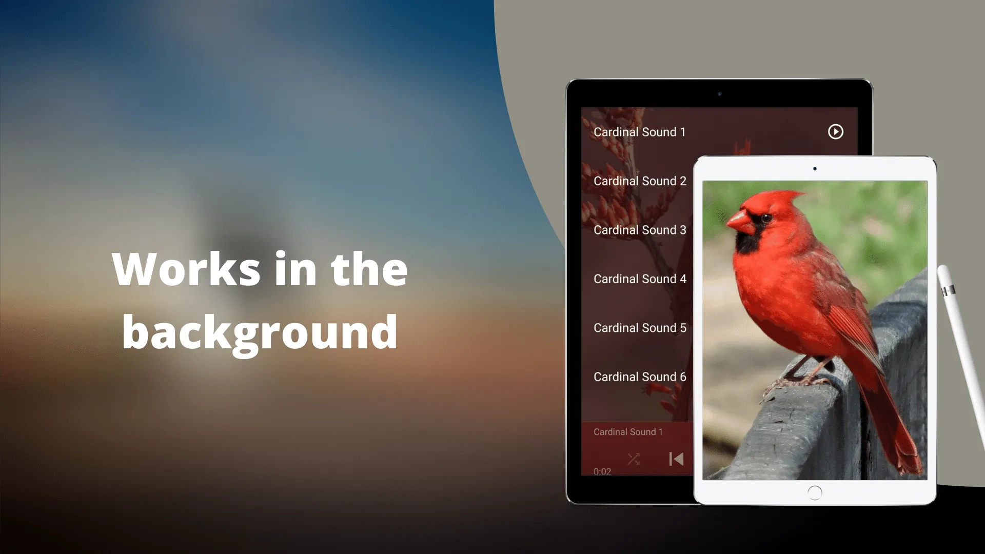 Cardinal Bird Sounds | Indus Appstore | Screenshot