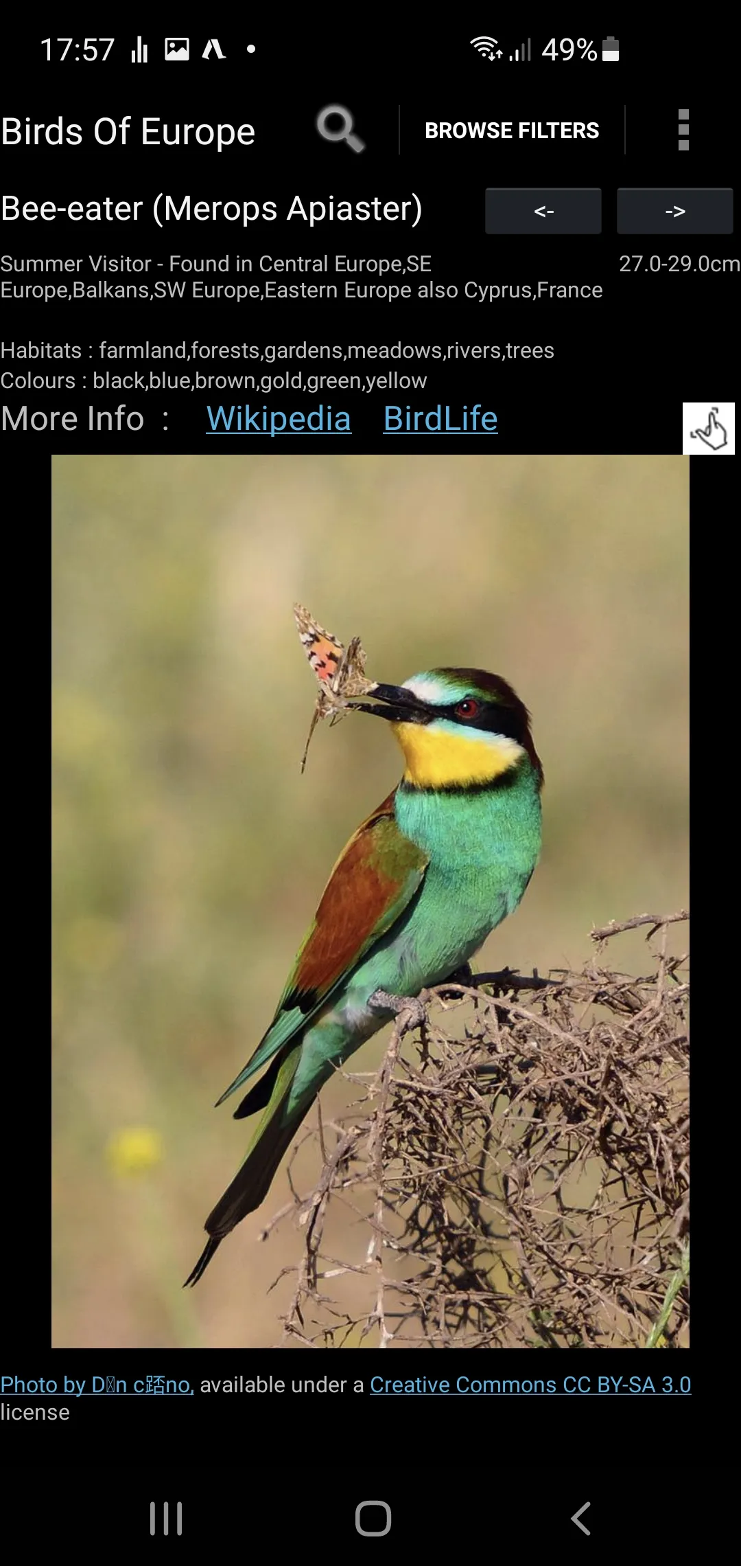 Birds Of Europe Guide | Indus Appstore | Screenshot