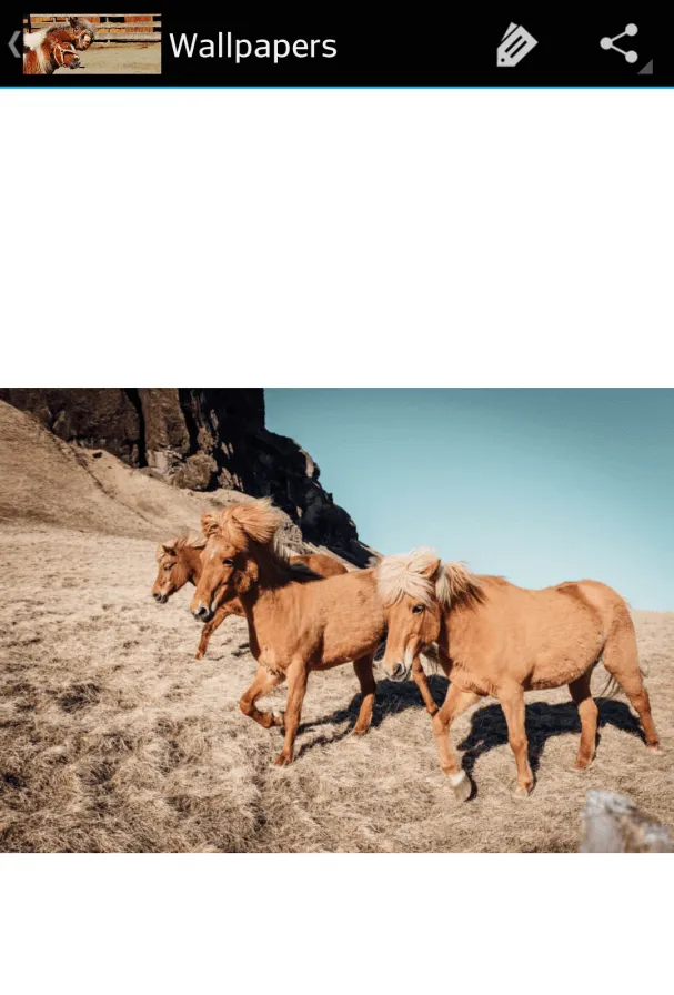 horse pictures | Indus Appstore | Screenshot