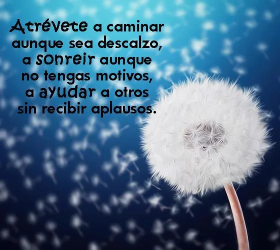 Lindas Reflexiones Positivas | Indus Appstore | Screenshot