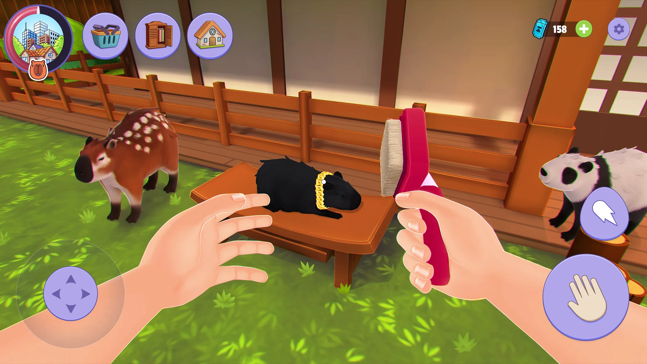 Capybara Simulator: My pets | Indus Appstore | Screenshot