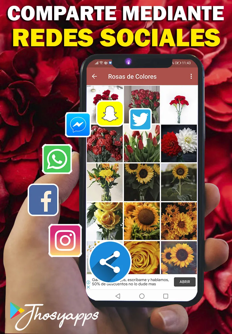 Flores y Rosas Rojas imágenes | Indus Appstore | Screenshot