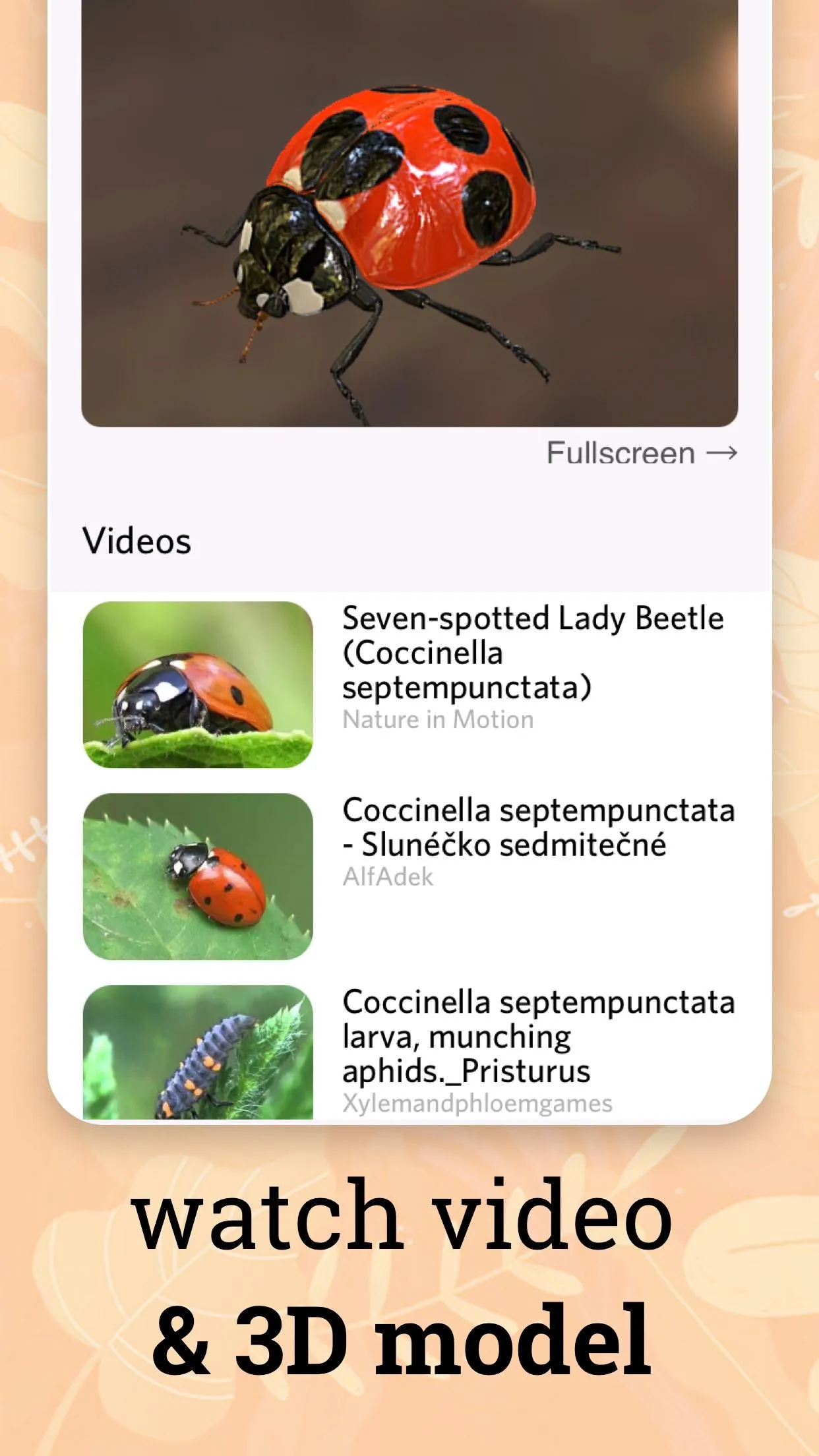 Insect identifier - identity | Indus Appstore | Screenshot