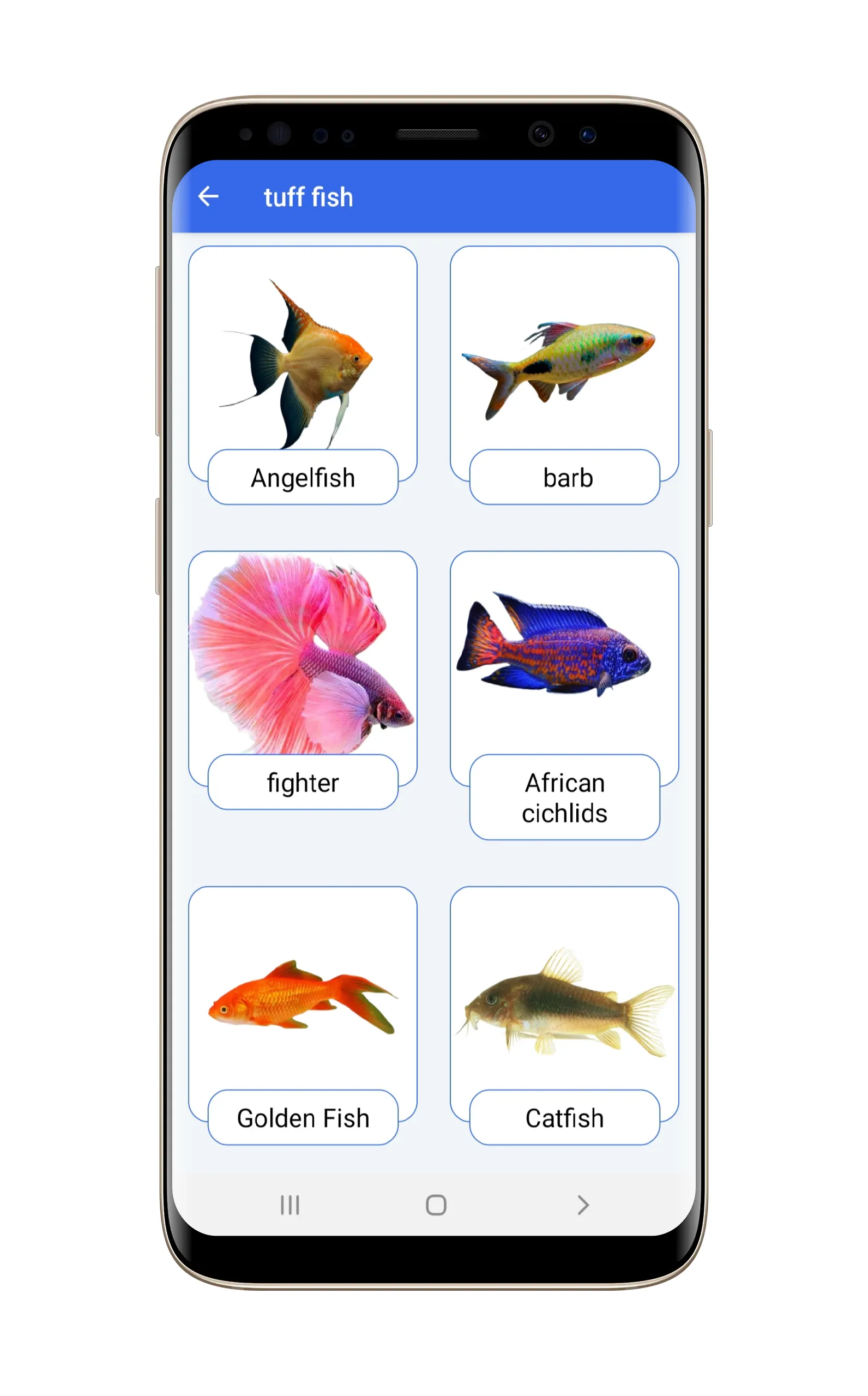 Ornamental fish | Indus Appstore | Screenshot