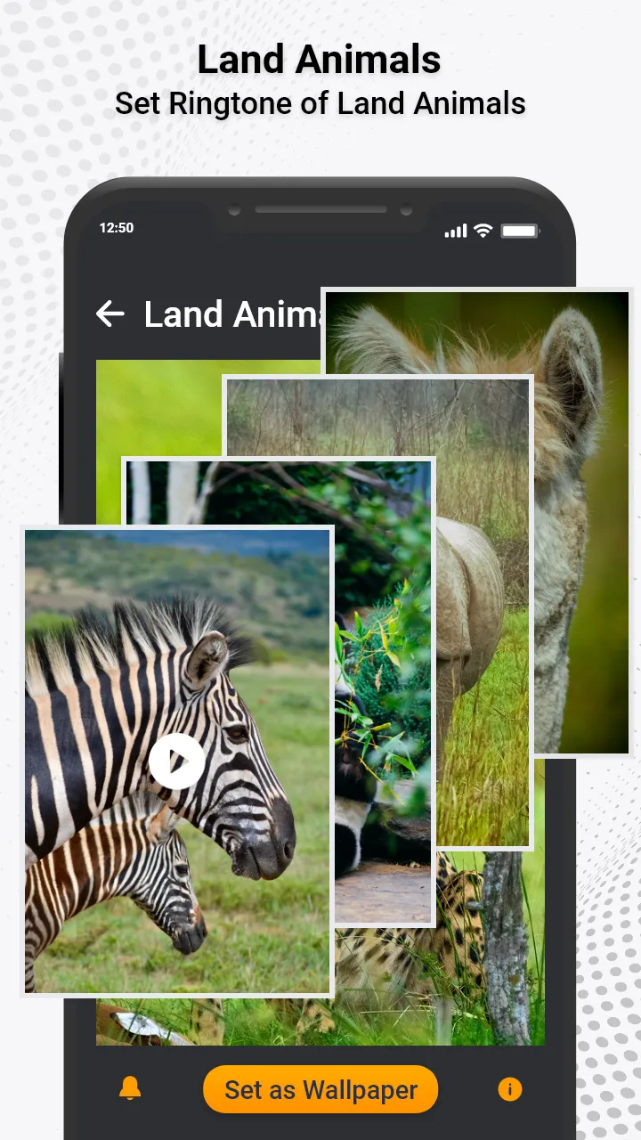 Animal Ringtones & Sounds | Indus Appstore | Screenshot