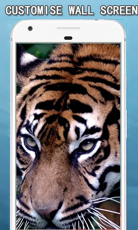 Tiger Wallpapers Hd | Indus Appstore | Screenshot