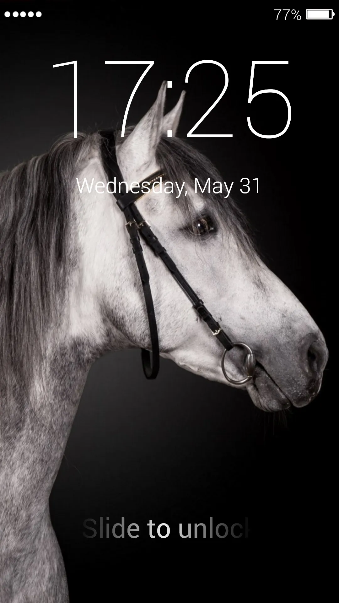 Horses Lock Screen | Indus Appstore | Screenshot