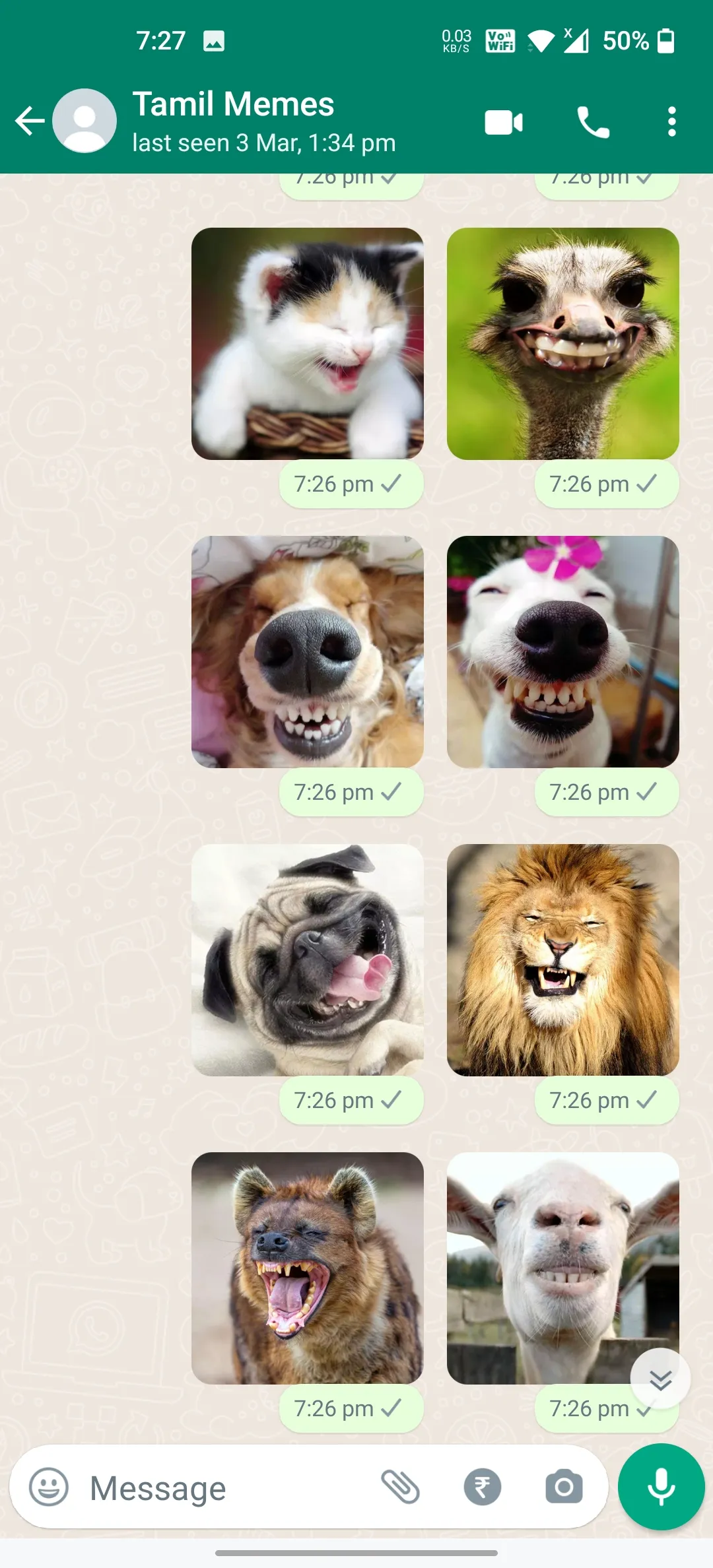 Animals Laughing Stickers | Indus Appstore | Screenshot