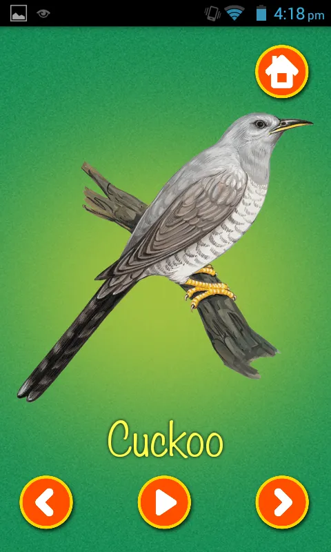 Learn Birds Name | Indus Appstore | Screenshot