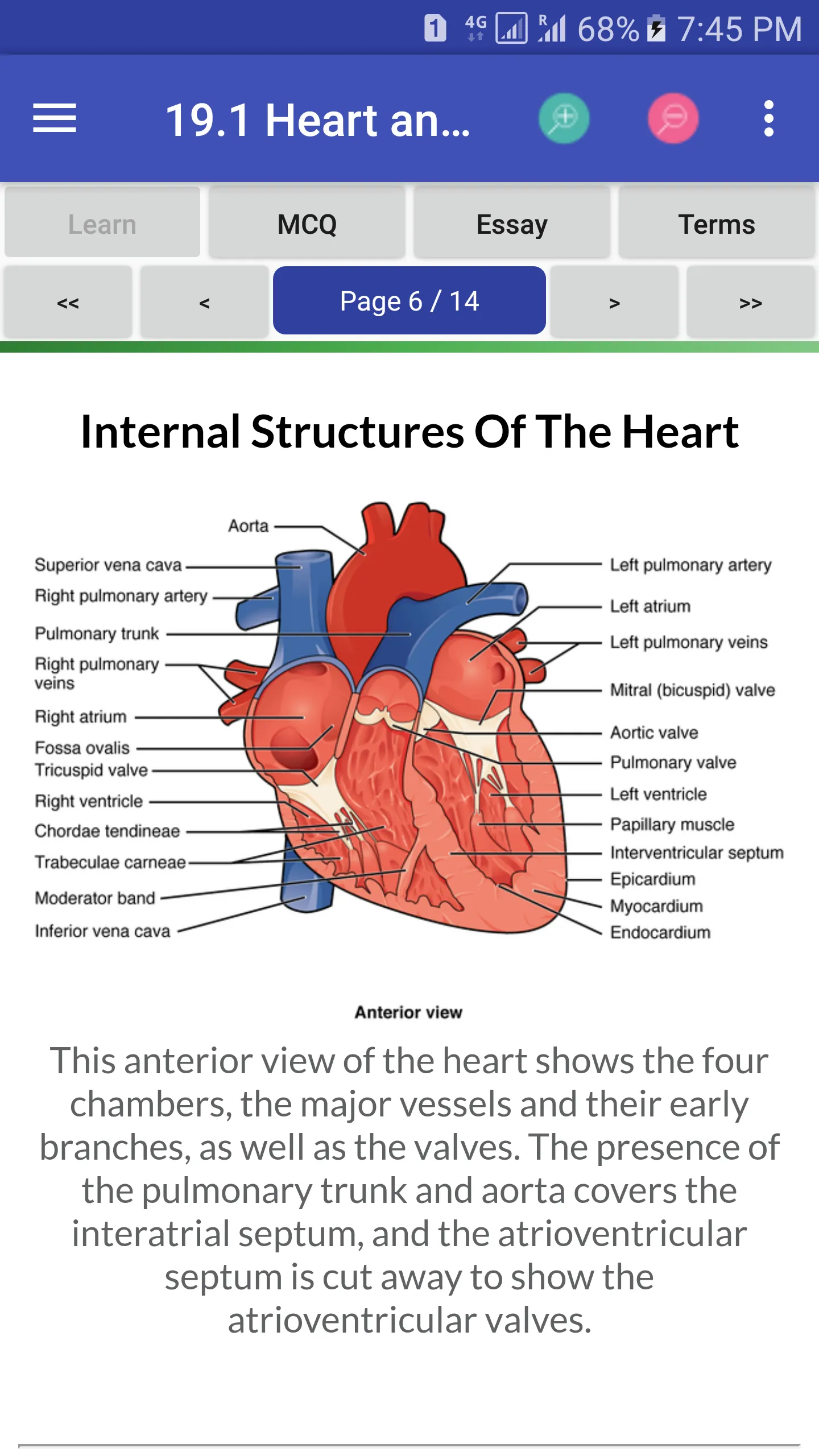 Anatomy & Physiology Textbook | Indus Appstore | Screenshot