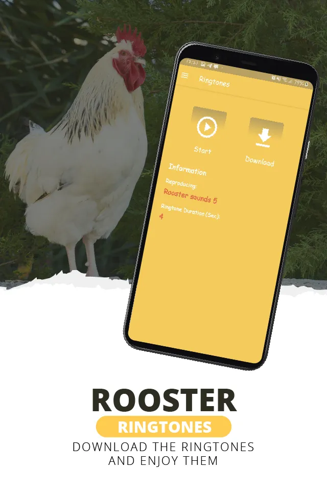 Rooster ringtones | Indus Appstore | Screenshot