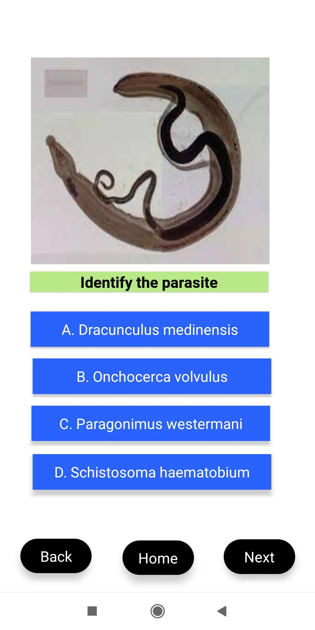 Parasitology Picto Quiz | Indus Appstore | Screenshot