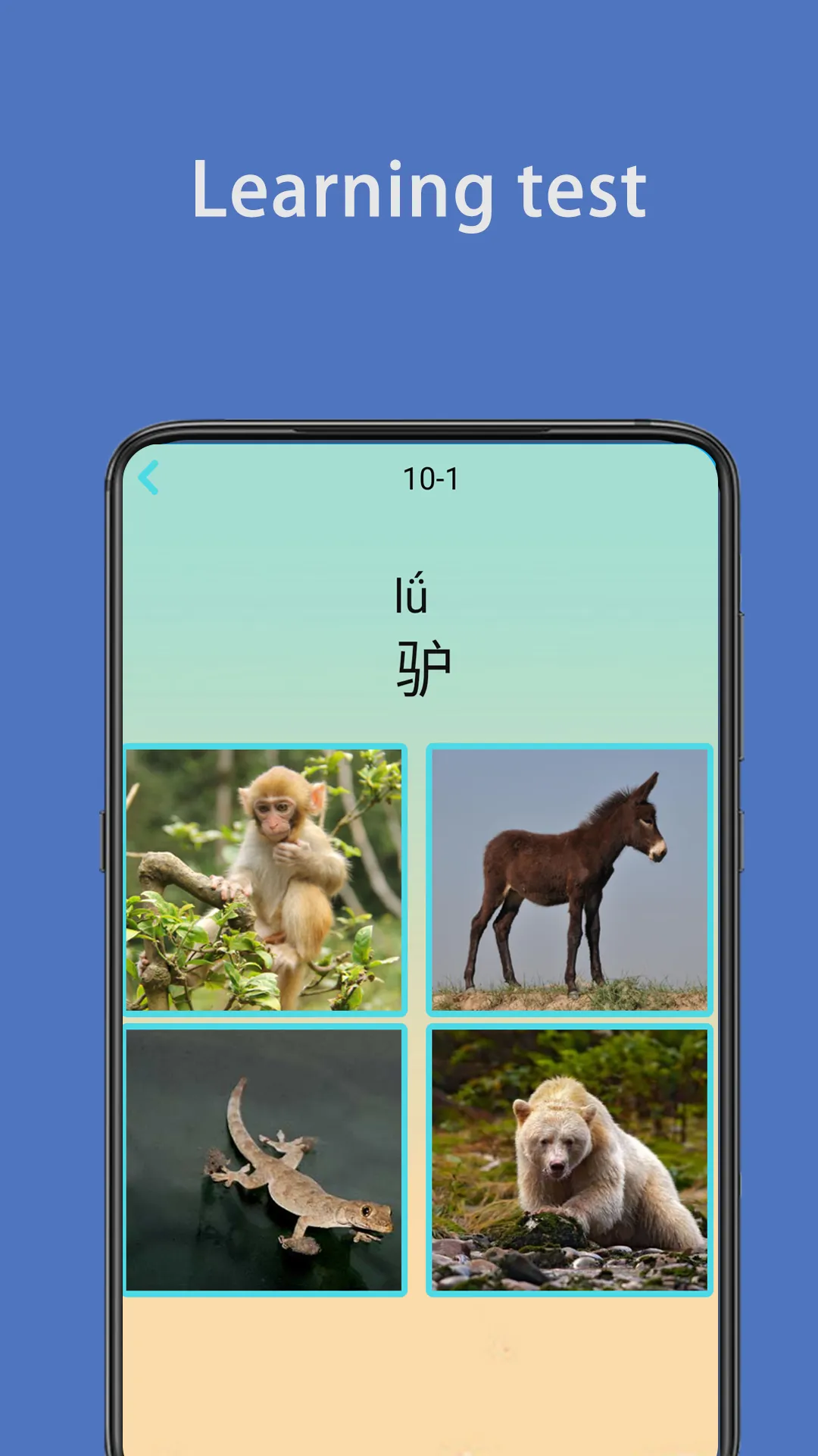 Write Chinese | learn Chinese  | Indus Appstore | Screenshot