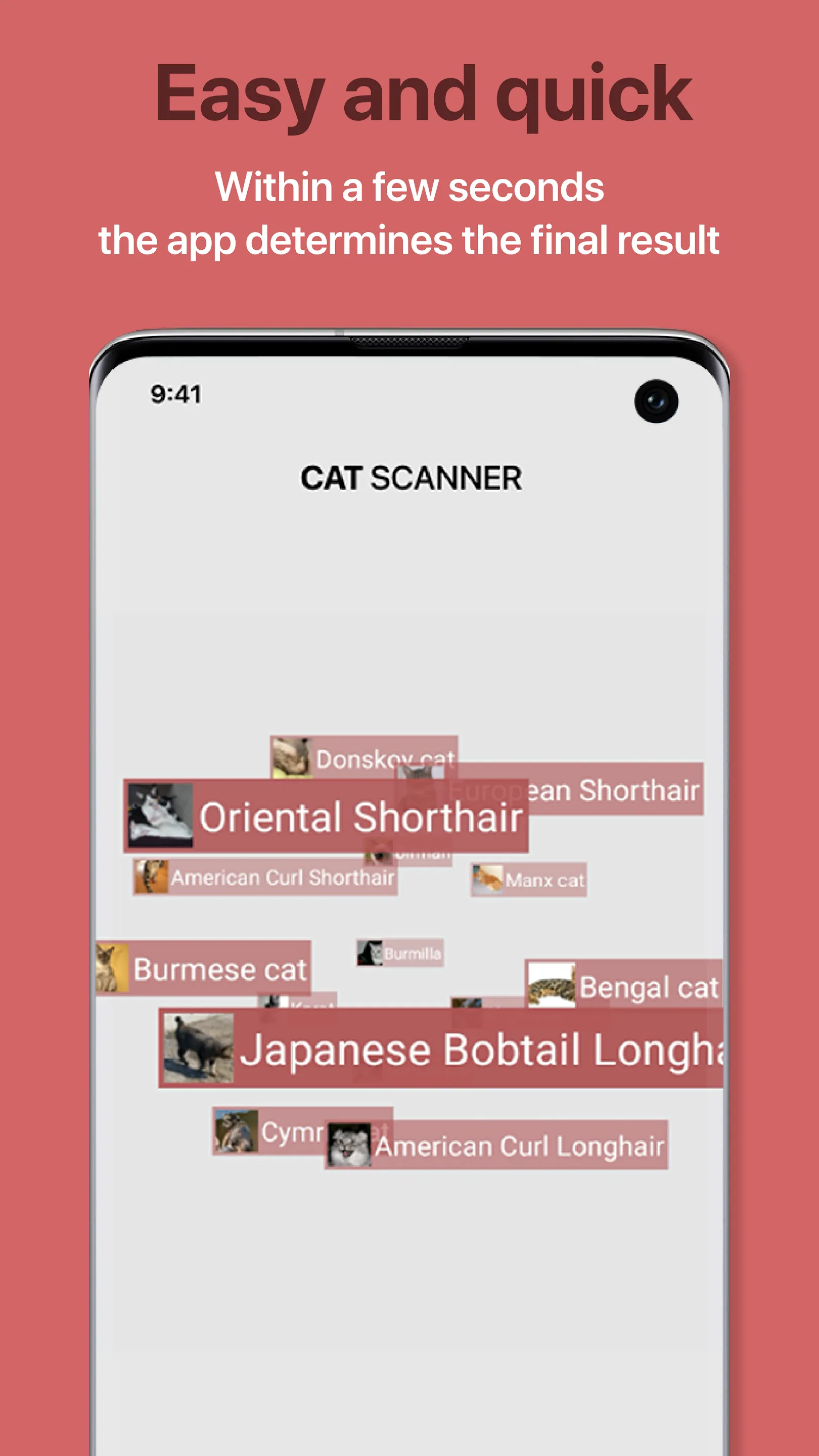 Cat Scanner: Breed Recognition | Indus Appstore | Screenshot