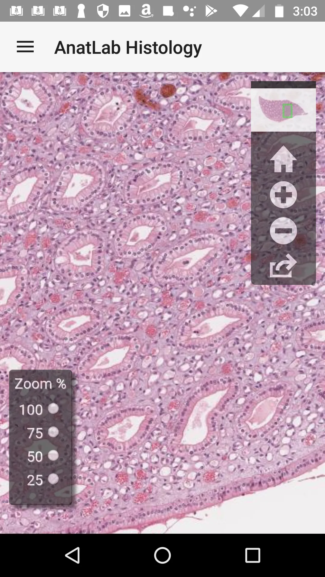 AnatLab Histology | Indus Appstore | Screenshot