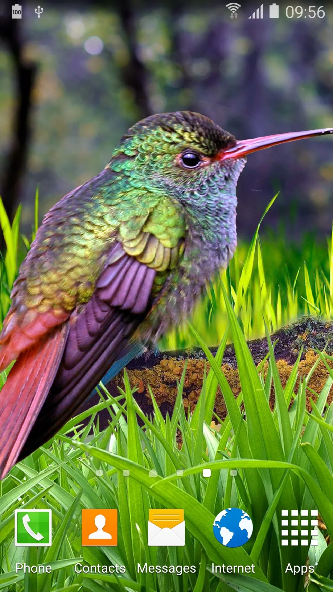 Hummingbirds Live Wallpaper | Indus Appstore | Screenshot